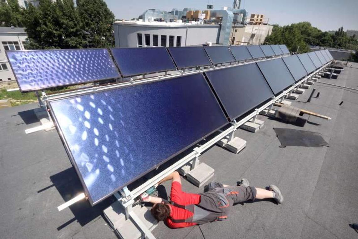 Ulepszają Collegium Pathologicum. Za 41 milionów Ulepszają Collegium Pathologicum. Za 41 milionów