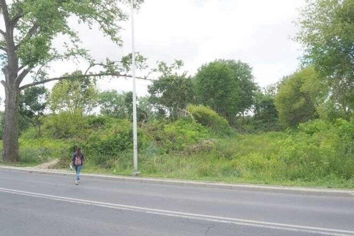 UMCS ma plan na kampus zachodni. Chce zbudować m.in. halę sportową UMCS ma plan na kampus zachodni. Chce zbudować m.in. halę sportową