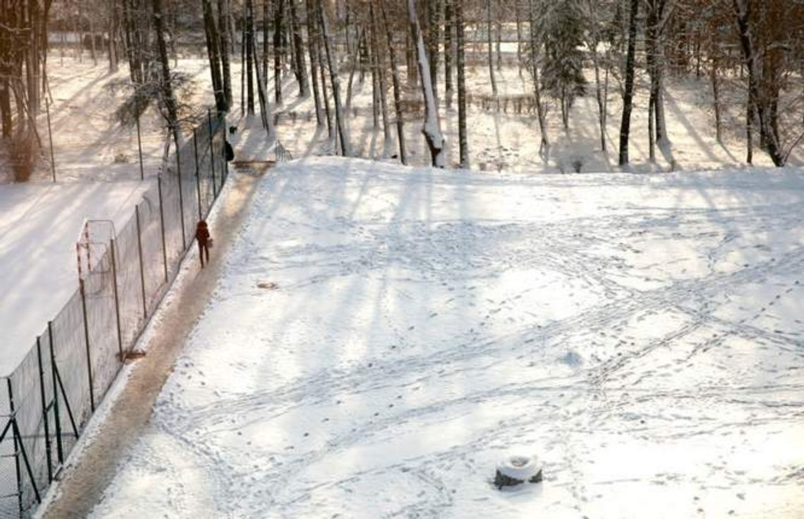 UMCS: Najpierw grill, potem park UMCS: Najpierw grill, potem park