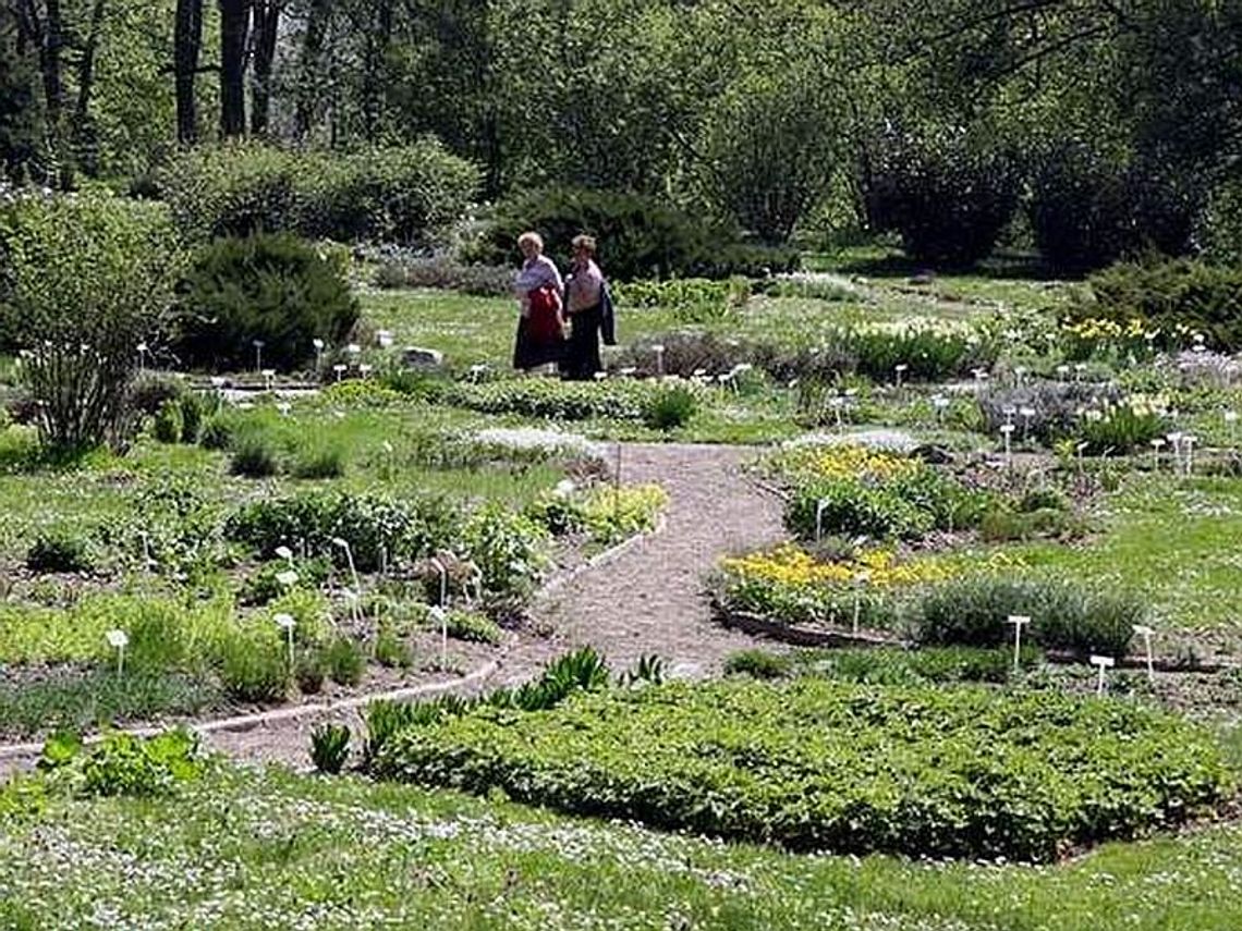 UMCS zwolnił 21 pracowników Ogrodu Botanicznego w Lublinie