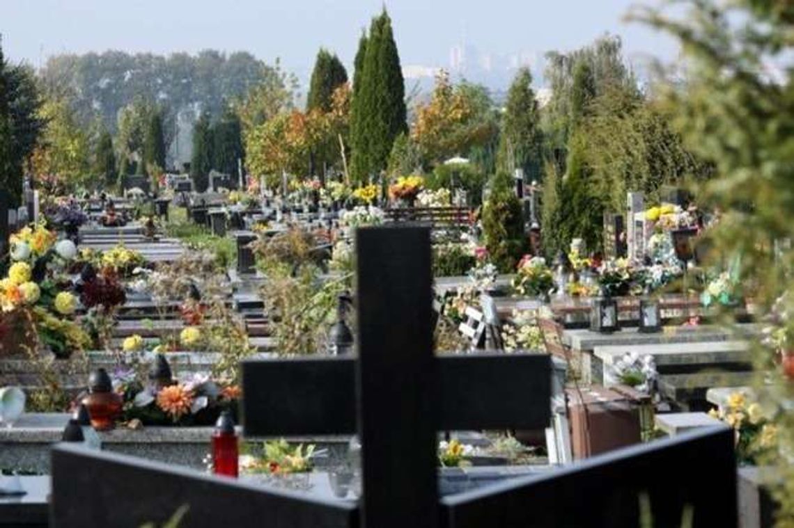 Umyją nagrobek, zapalą znicz. Firmy opiekujące się grobami nie narzekają na brak zleceń