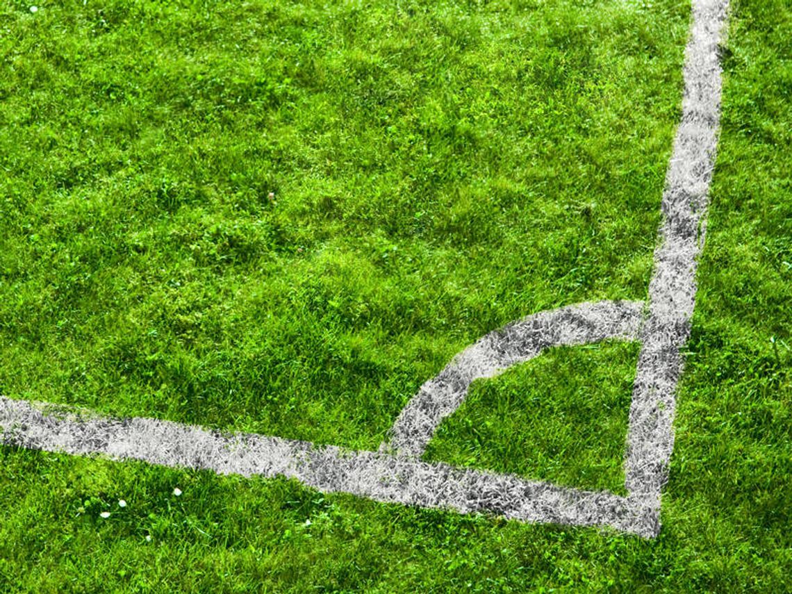 Unia posieje Wilkom trawę