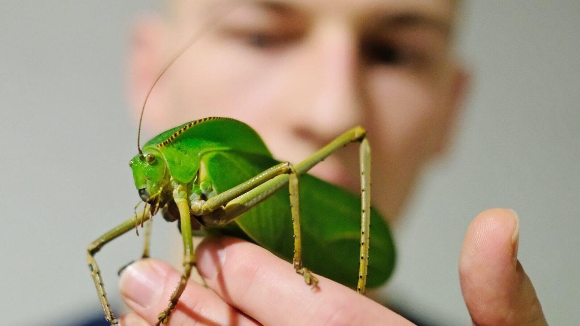 UP otworzył drzwi dla przyszłych studentów