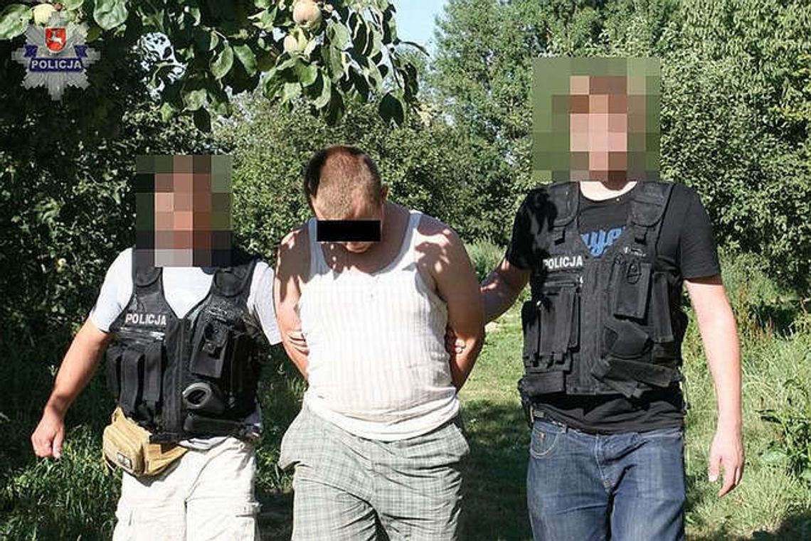 Uprawa konopi indyjskich zlikwidowana. „Plantatorzy” w rękach policji