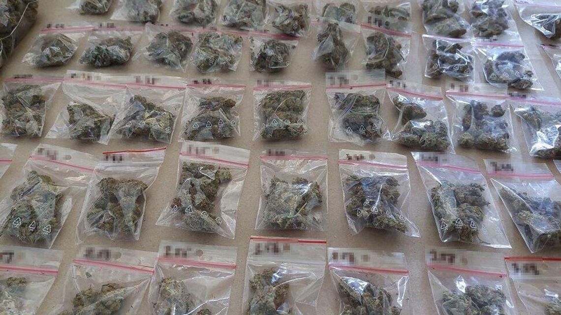 Uprawiał konopie, miał narkotyki i jeździł naćpany 