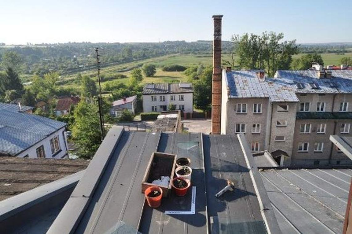 Uprawiał konopie na dachu bloku