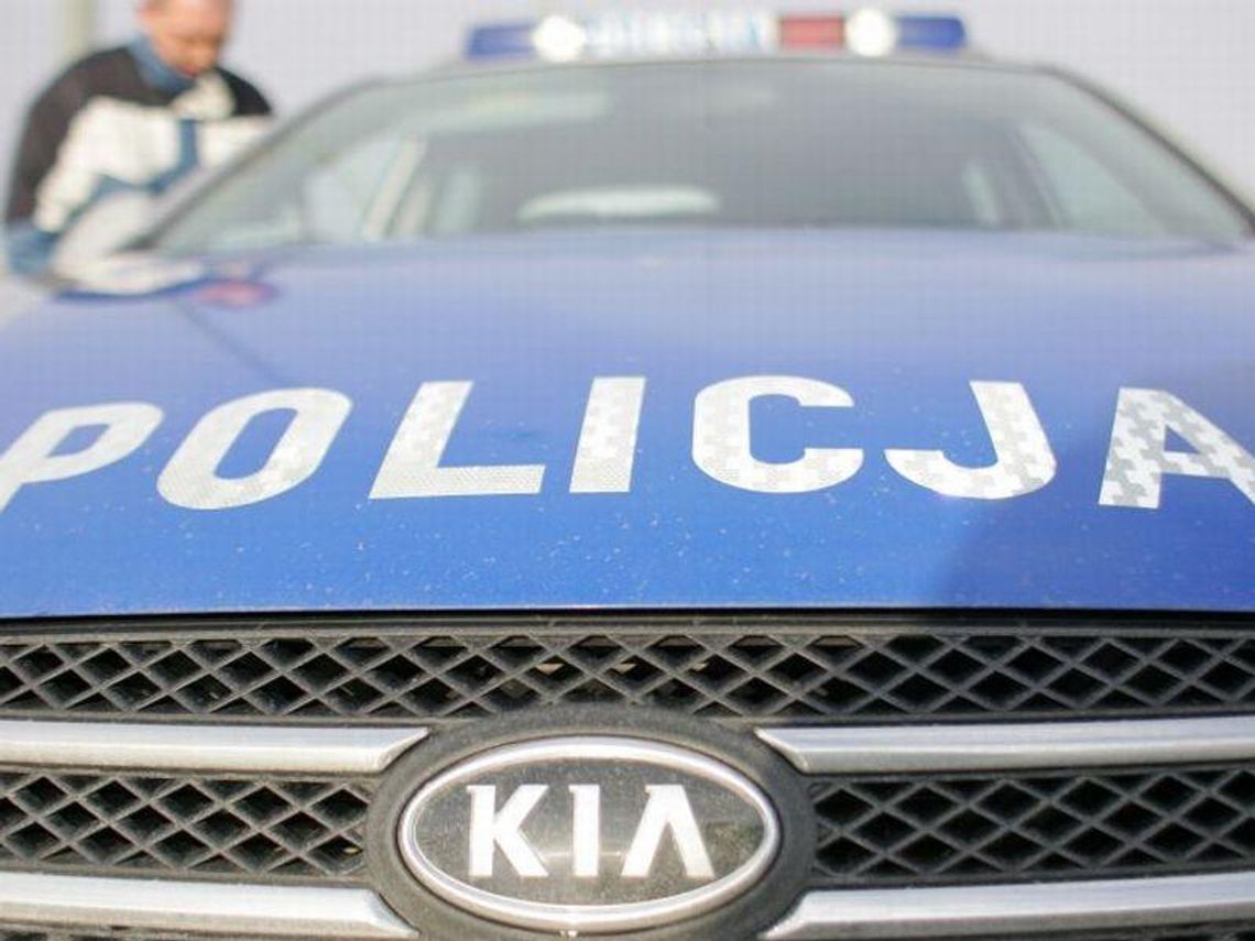 Uratowali konającego szczeniaka. Pies był zamknięty w samochodzie