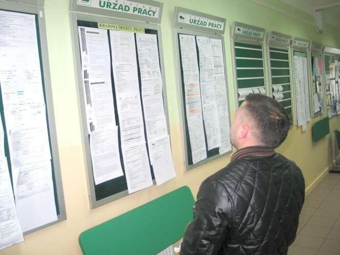 Urząd ma być tańszy i bliżej ludzi. Albo zmieni się dyrektor