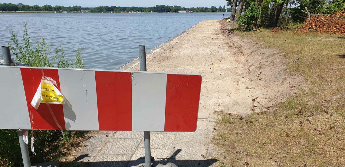Urząd Miasta sprawdza budowę ścieżki przy Zalewie Zemborzyckim. W planach ochrona 300-letniego dębu