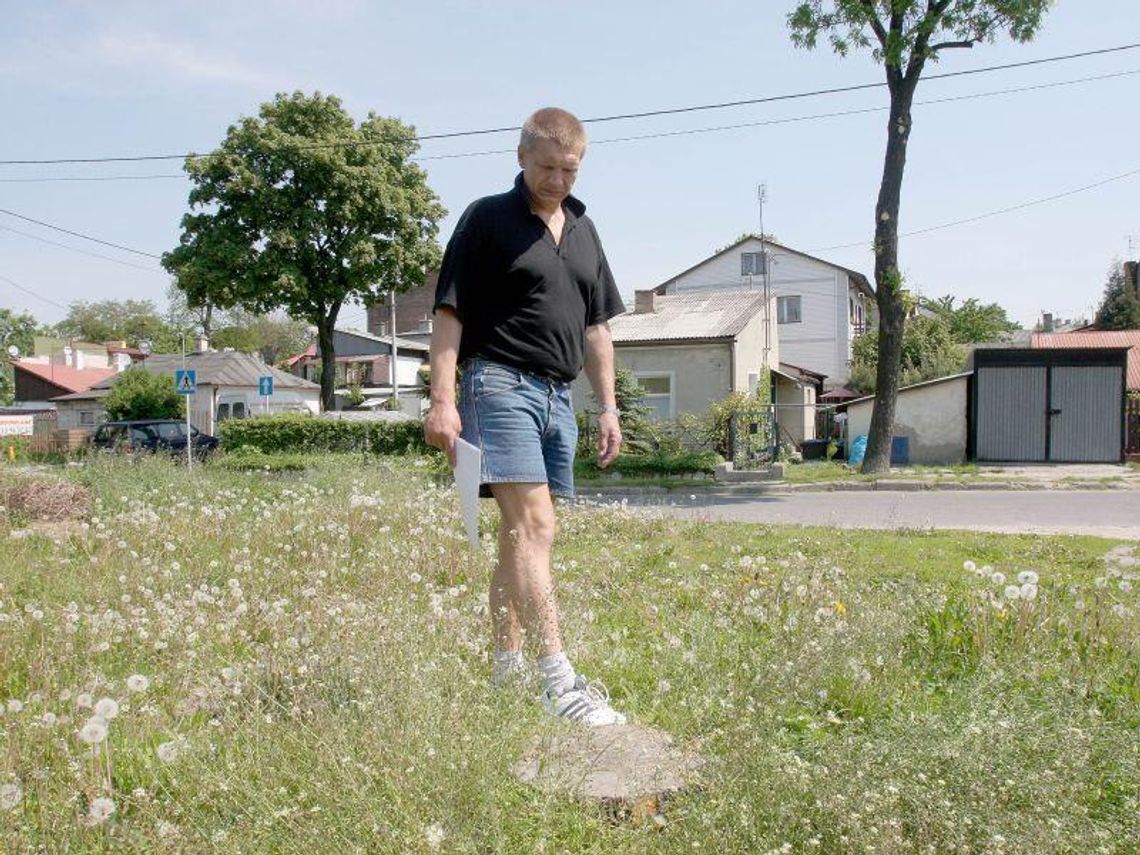 Urzędnicy kazali wyciąć drzewa. Bez zgody właściciela działki Urzędnicy kazali wyciąć drzewa. Bez zgody właściciela działki