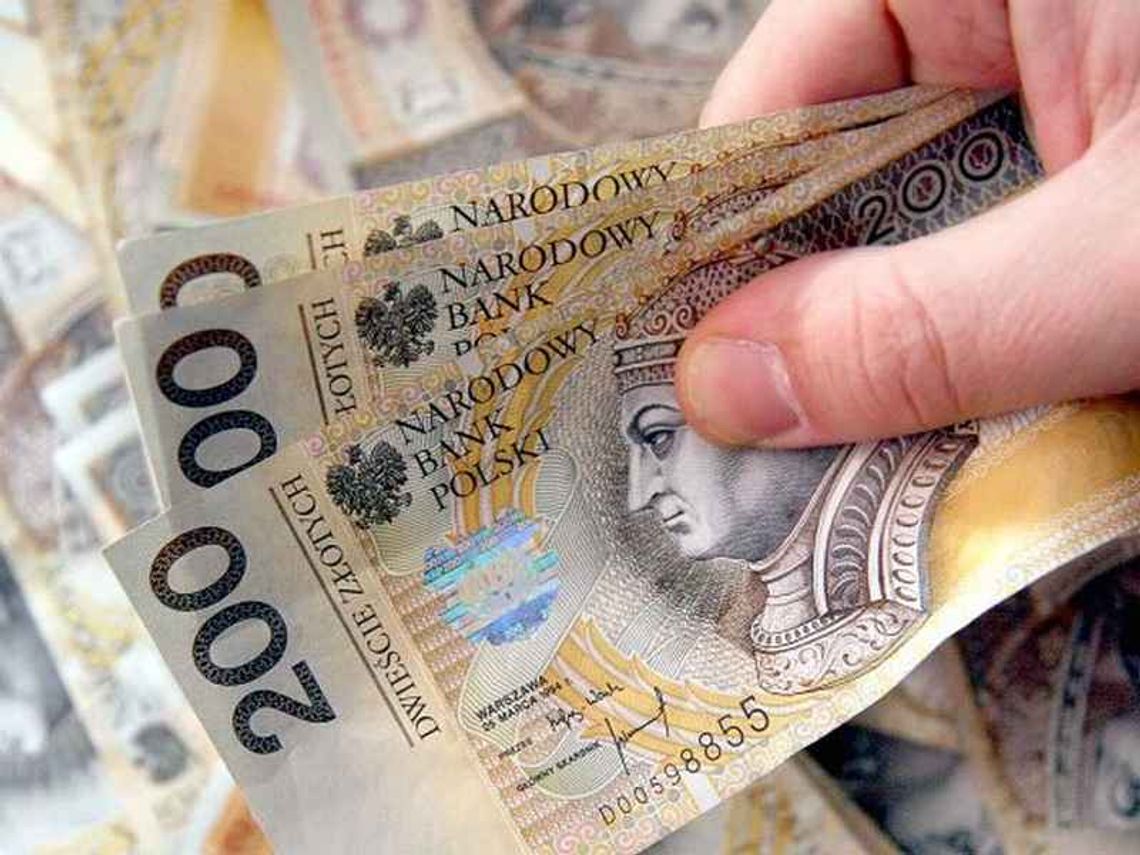 Urzędnicy kupili 9 ha bagien za 2,2 mln zł