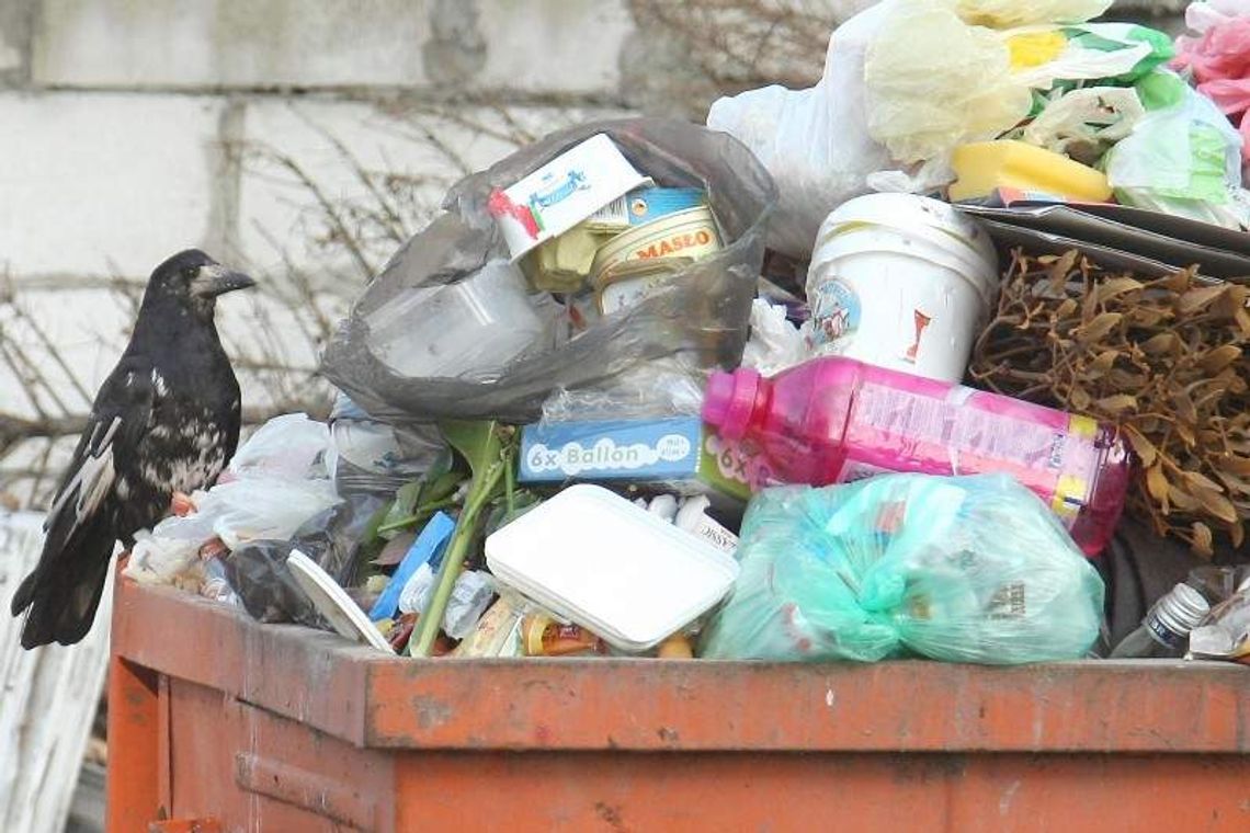 Urzędnicy się nie dogadali. Mieszkańcy muszą stać w kolejce po swoje pieniądze