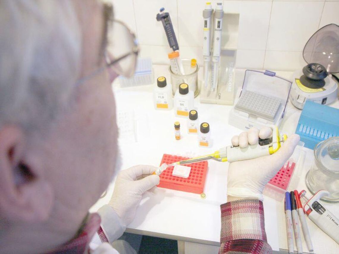Ustalili płeć dziecka, które zmarło w 8 tygodniu ciąży Ustalili płeć dziecka, które zmarło w 8 tygodniu ciąży