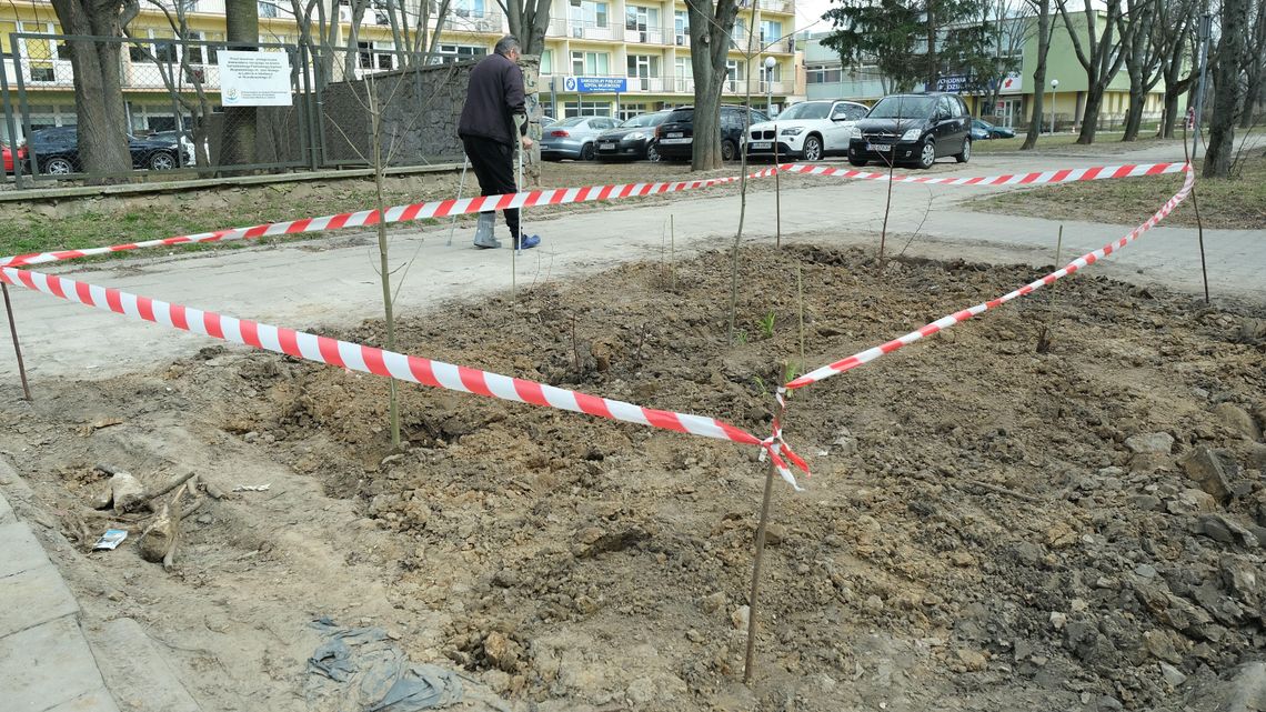 Usunęli gruz i śmieci, posadzili drzewka. Urzędnicy krytyczni, ale otwarci na podobne działania Usunęli gruz i śmieci, posadzili drzewka. Urzędnicy krytyczni, ale otwarci na podobne działania