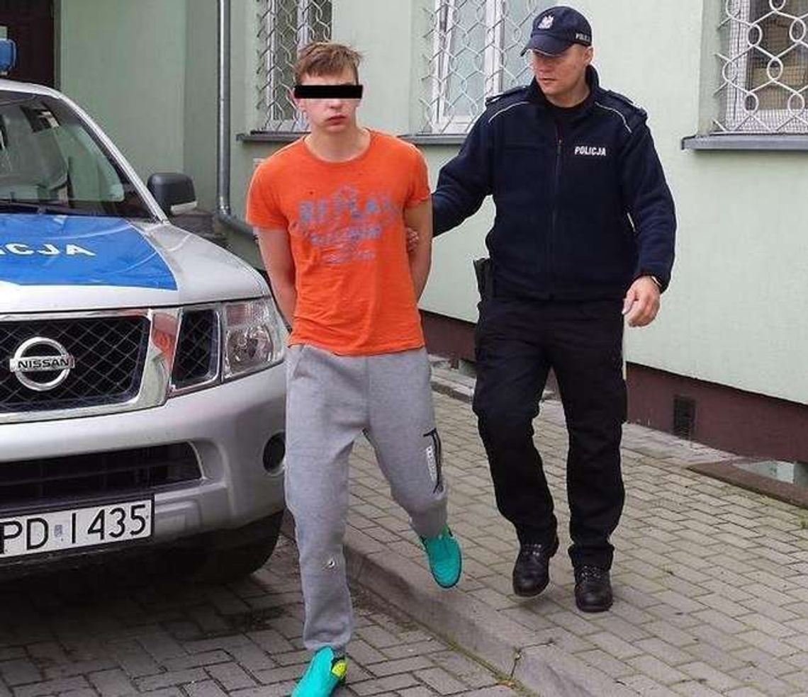 Utopił cztery psy, grożą mu 2 lata więzienia