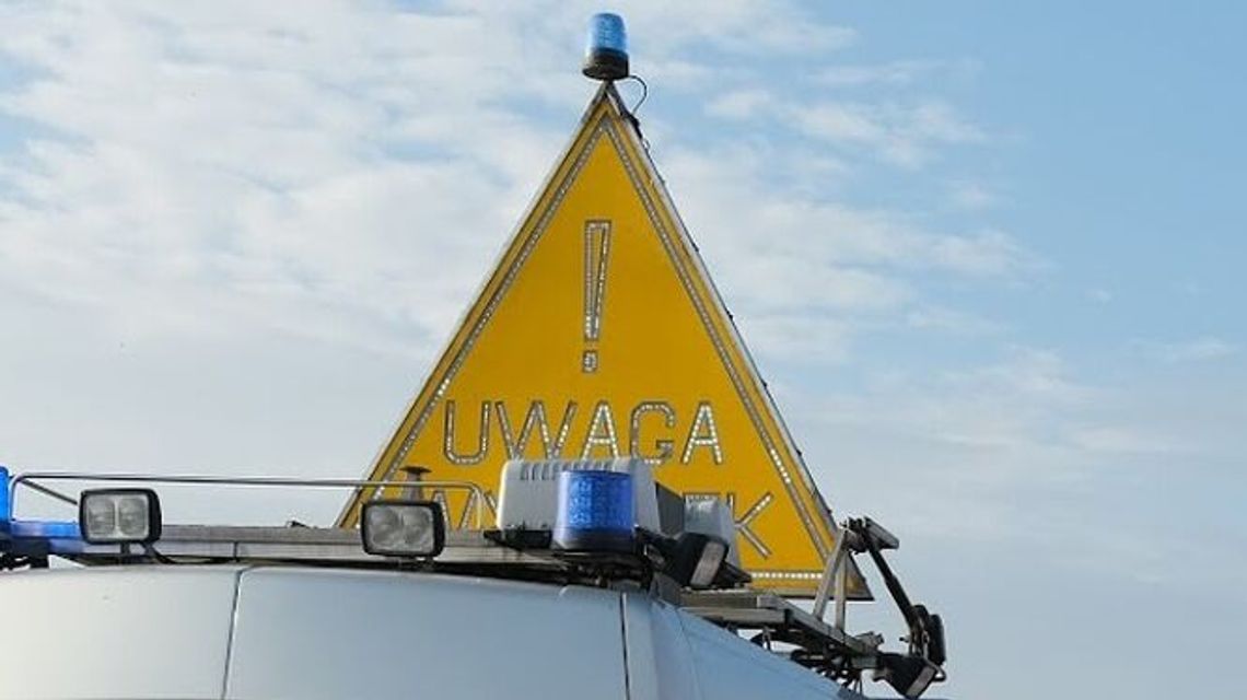 Utrudnienia w ruchu na DK 19. Samochód najechał na łosia