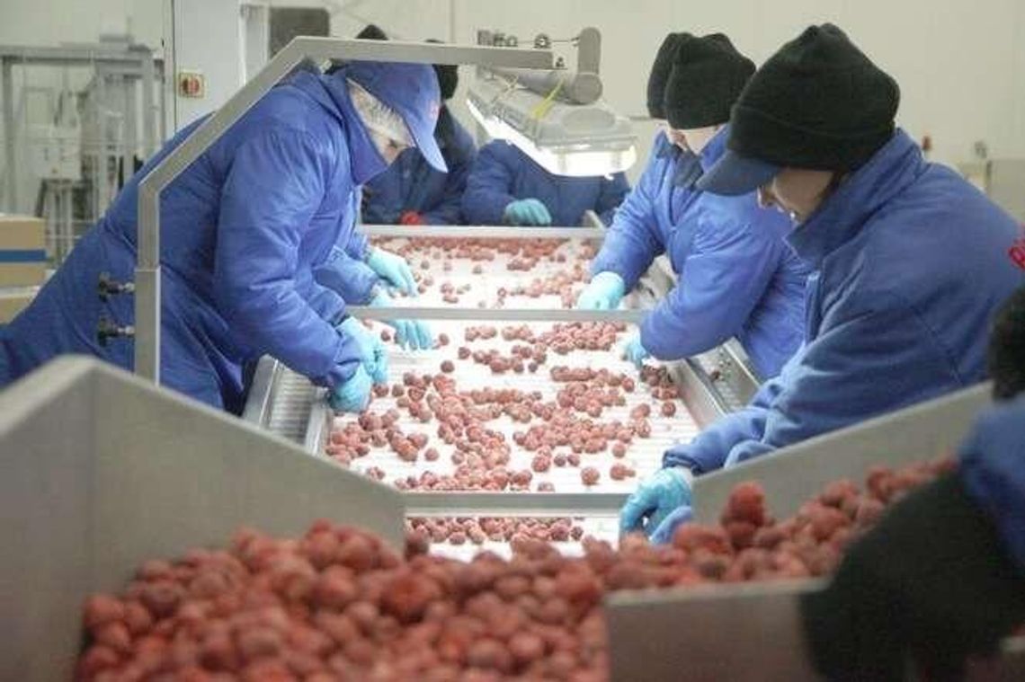 Utrwalić żywność bez konserwantów