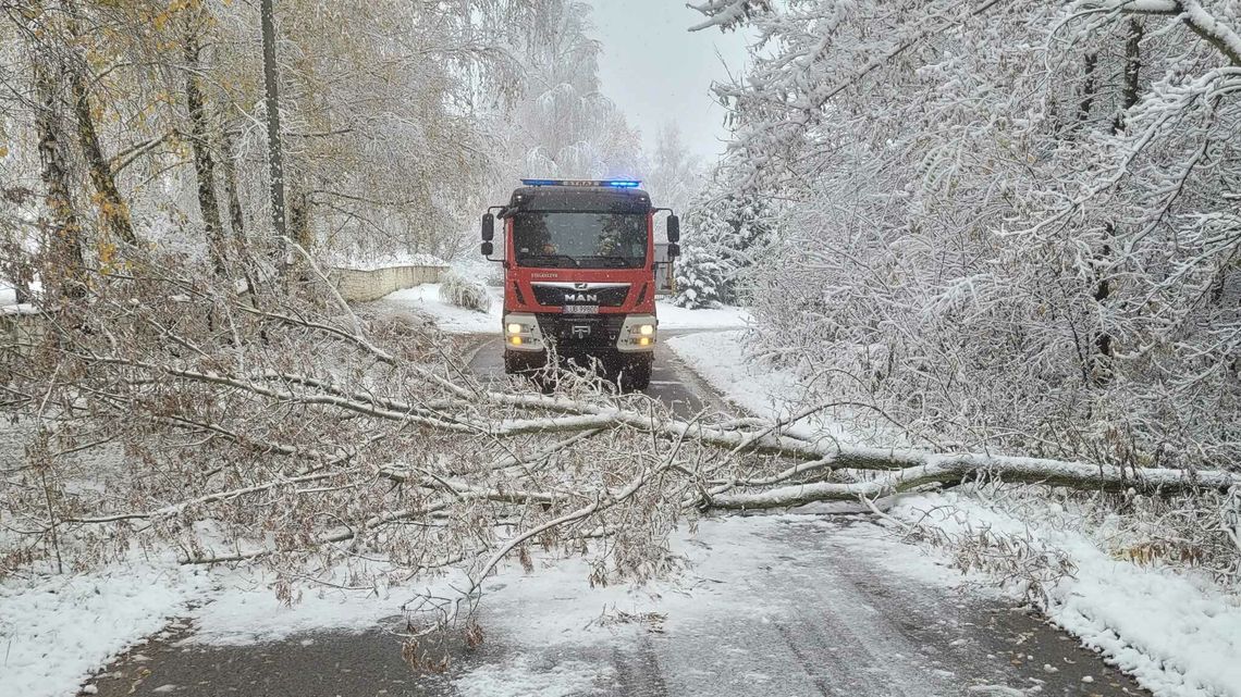 Uwaga - jest ślisko. Seria kolizji na lubelskich drogach Uwaga - jest ślisko. Seria kolizji na lubelskich drogach