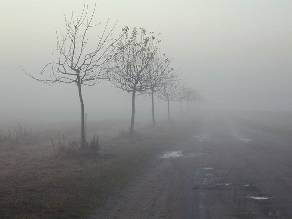 Uwaga na mgły - ostrzeżenie IMGW Uwaga na mgły - ostrzeżenie IMGW
