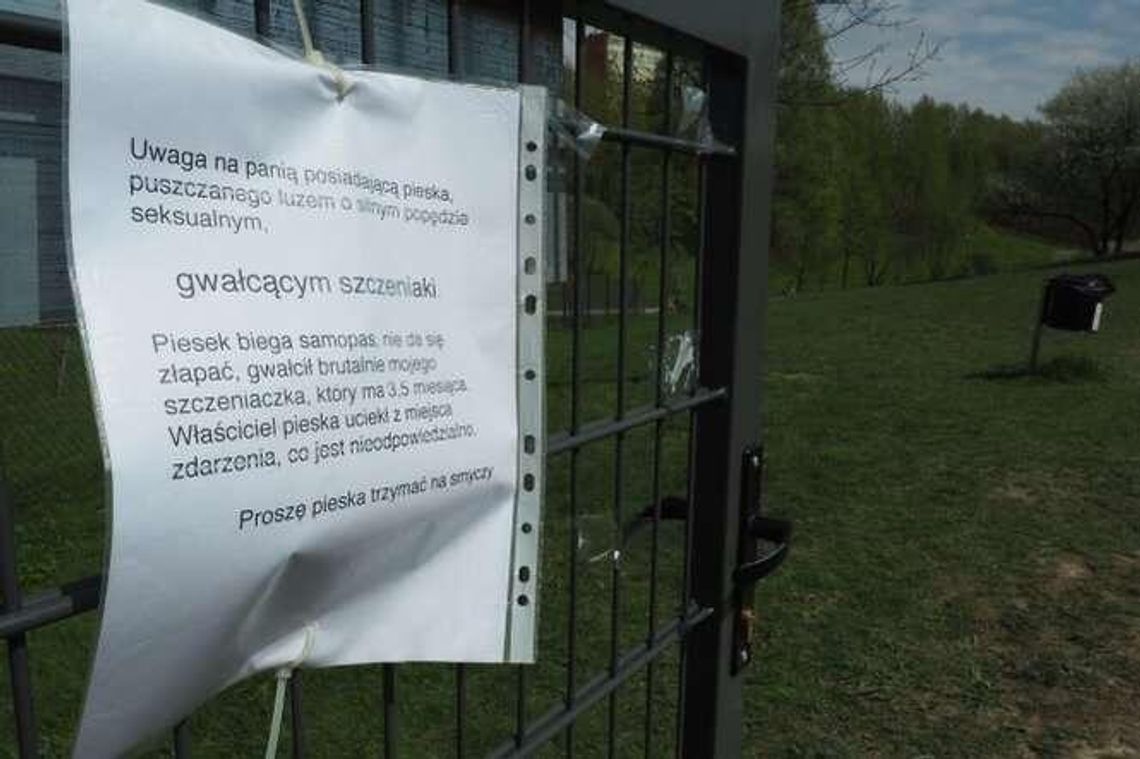 "Uwaga na psa, który gwałci szczeniaki". Właściciele boją się o swoje czworonogi