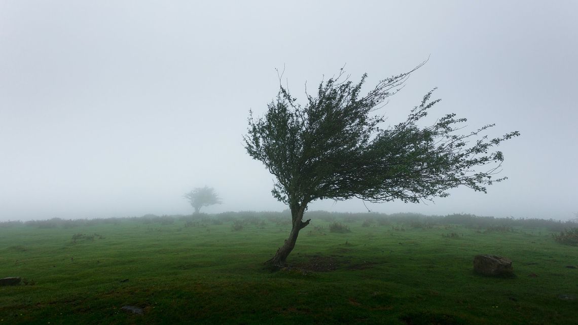 Uwaga, zawieje, rzeki powyżej stanów ostrzegawczych. IMGW wydaje alerty meteorologiczne