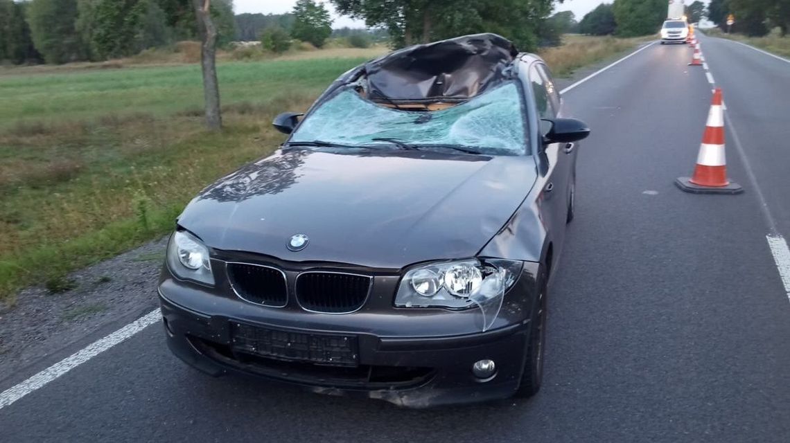 Uważaj na leśne zwierzęta. Jesienią zwiększa się ryzyko kolizji Uważaj na leśne zwierzęta. Jesienią zwiększa się ryzyko kolizji
