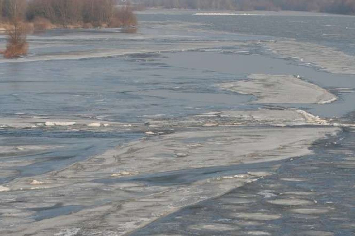 Uważaj na swojego psa. Jeden nie miał szczęścia, co stało się z drugim?