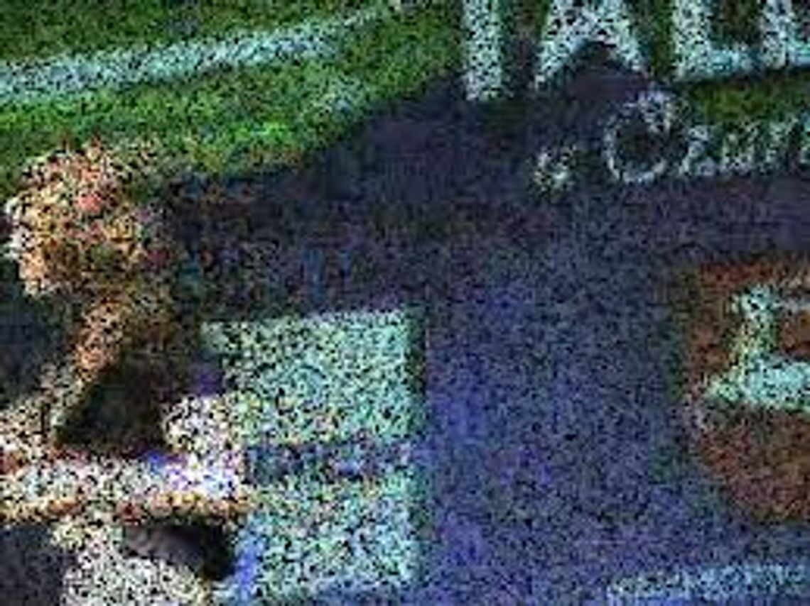 V Edycja \"Mam Talent u Czarniecczyków\" 