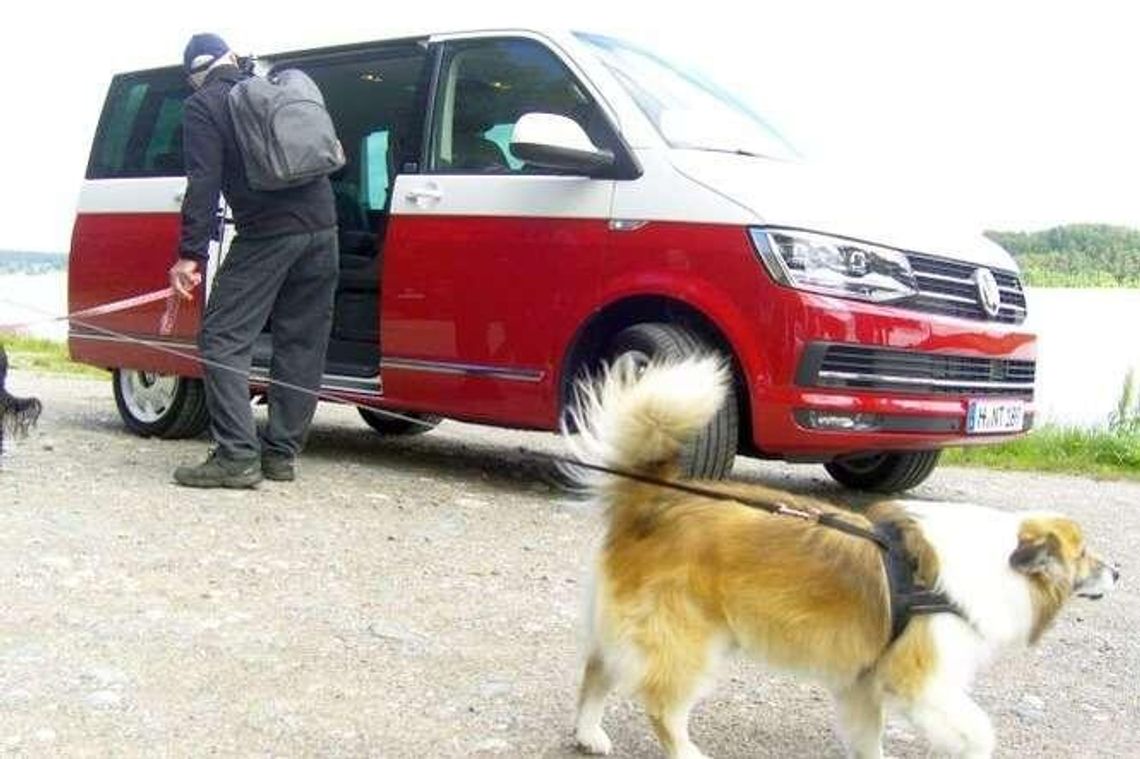 Volkswagen Transporter w nowej wersji Volkswagen Transporter w nowej wersji