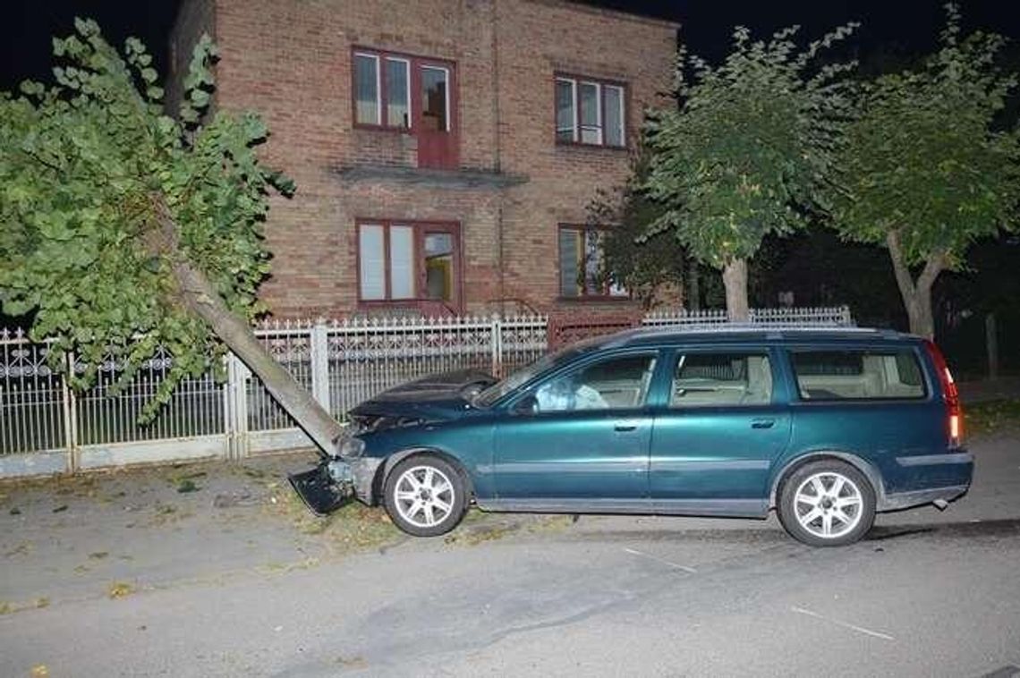 Volvo staranowało drzewo po zderzeniu z renault (zdjęcia) Volvo staranowało drzewo po zderzeniu z renault (zdjęcia)