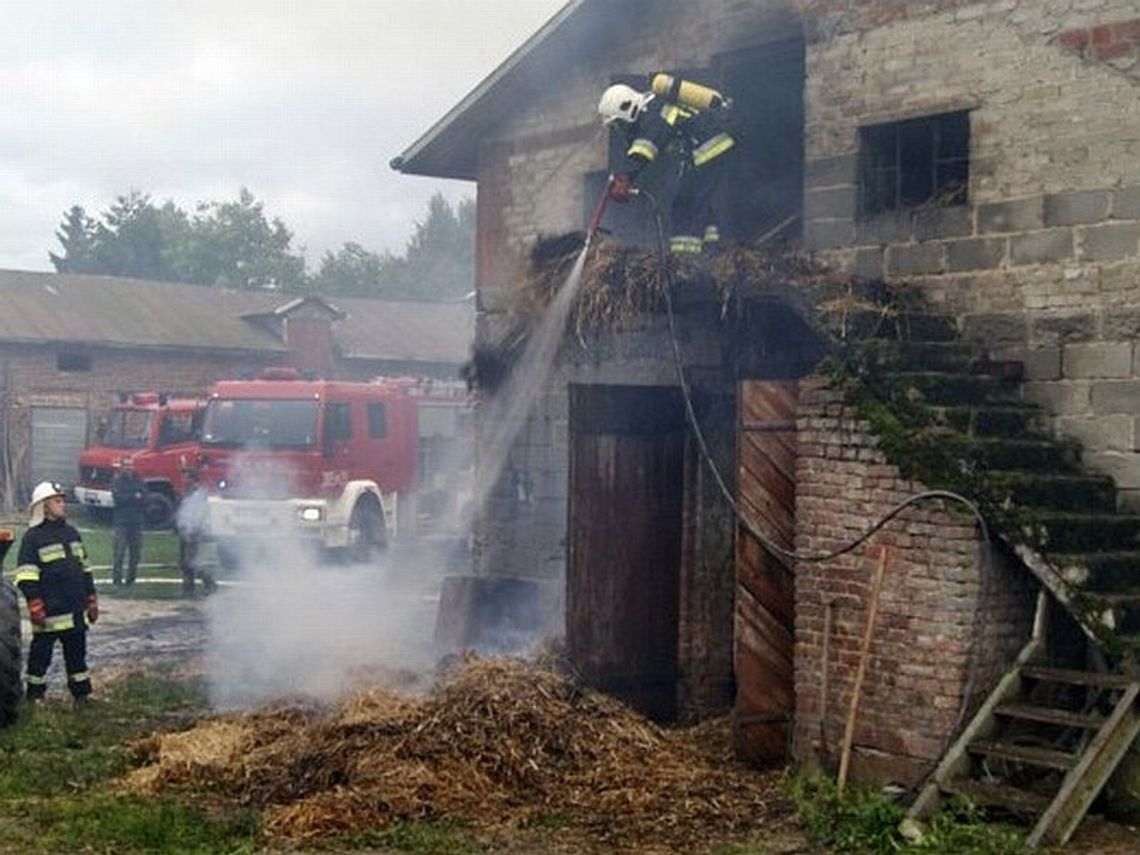W Babinie spłonęła chlewnia. Straty ok. 300 tys. zł