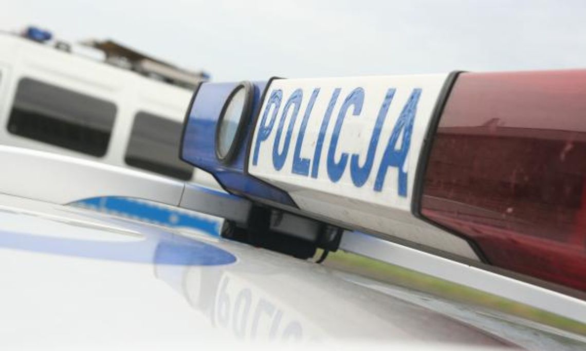 W biały dzień chcieli okraść dom