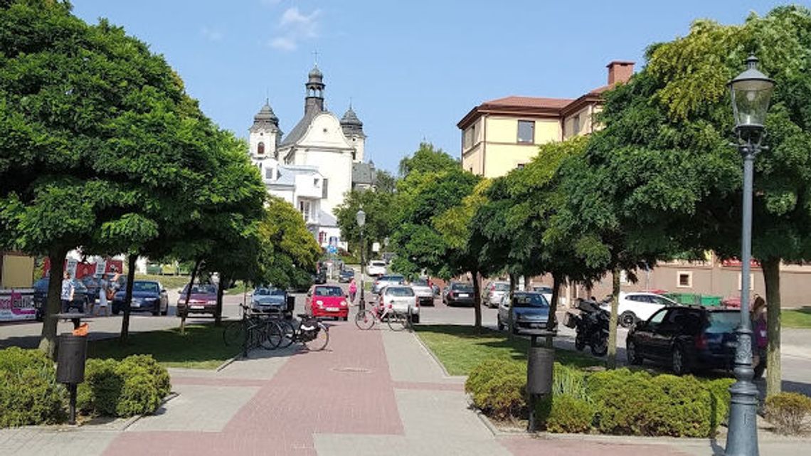 W Chełmie będzie więcej drzew "dla leniwych"