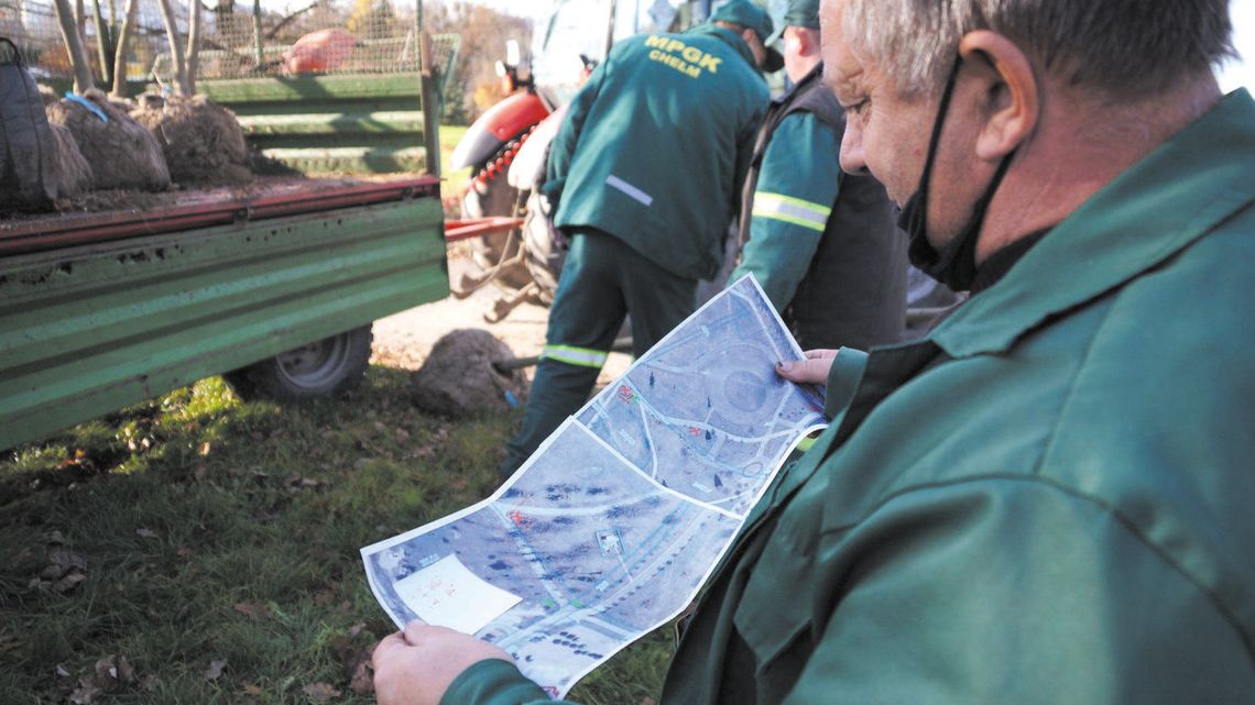 W Chełmie tną gałęzie i sadzą nowe drzewa