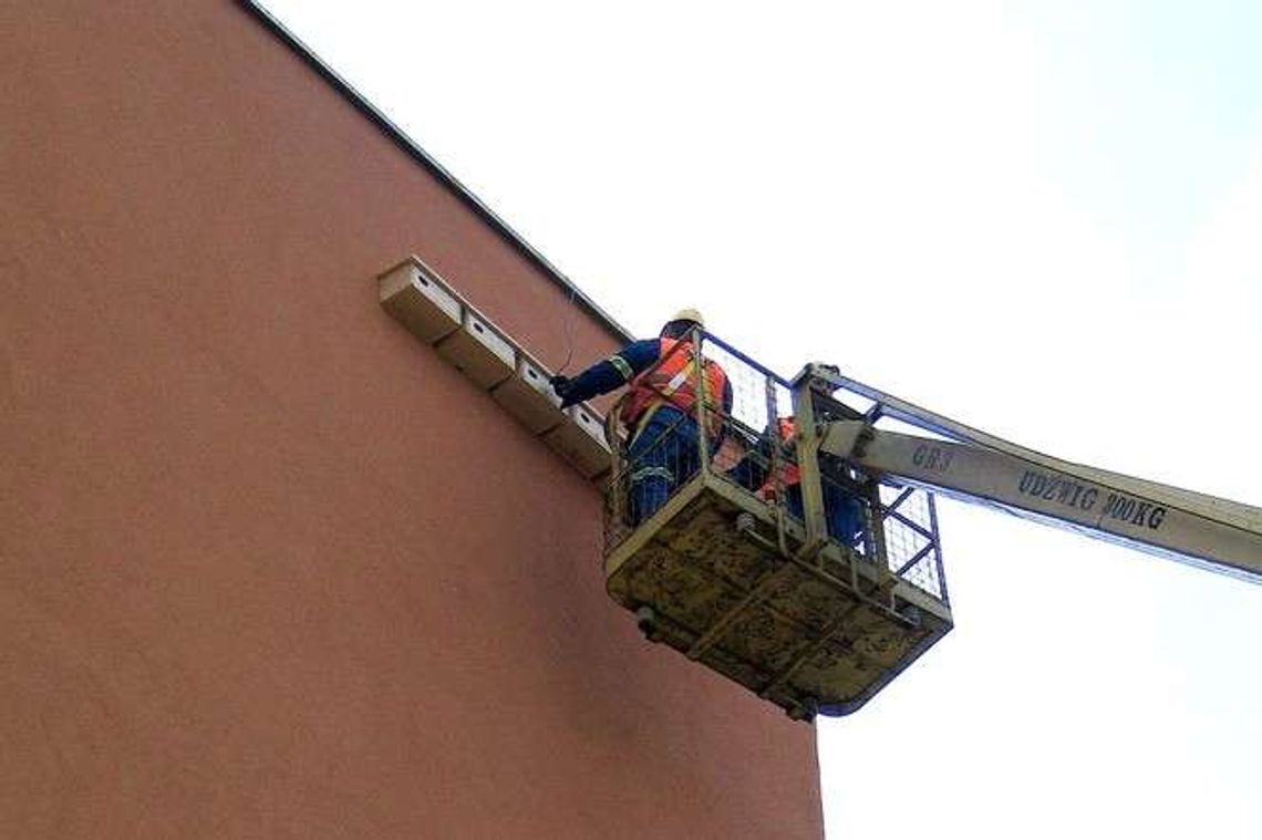 W Chełmie zamontują 360 domków dla jerzyków W Chełmie zamontują 360 domków dla jerzyków