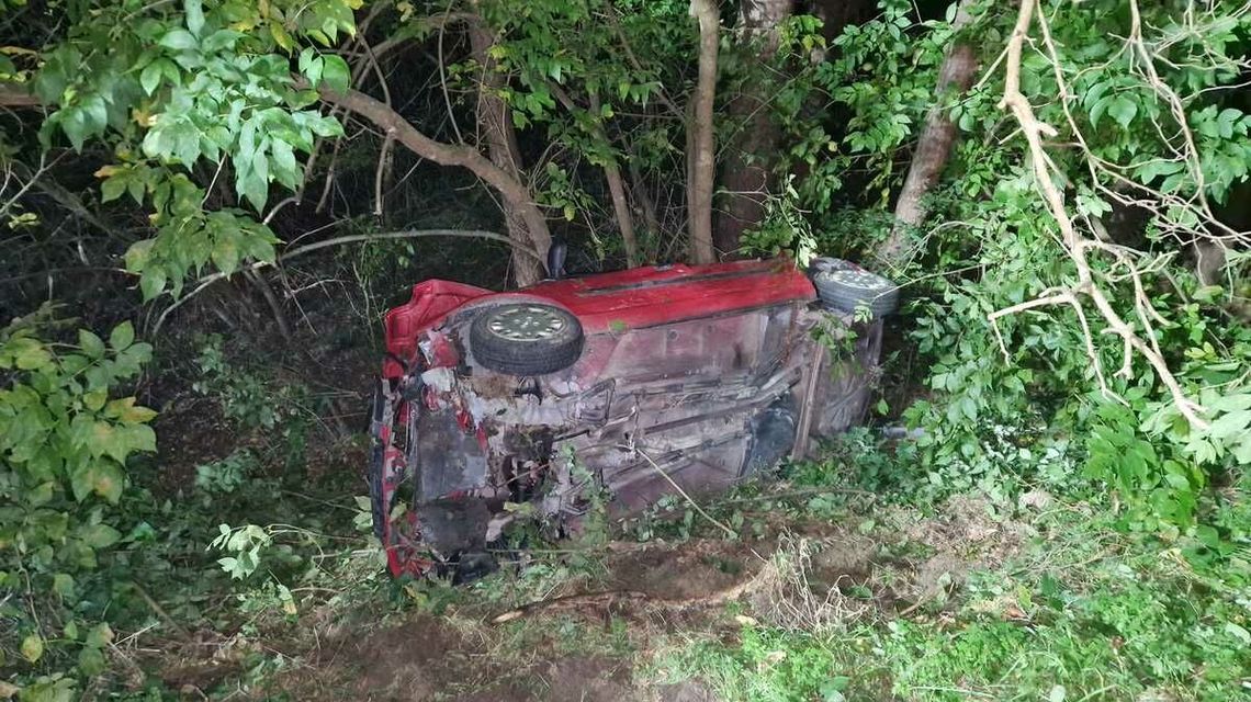 W Ciotuszy Nowej clio wjechało do rowu