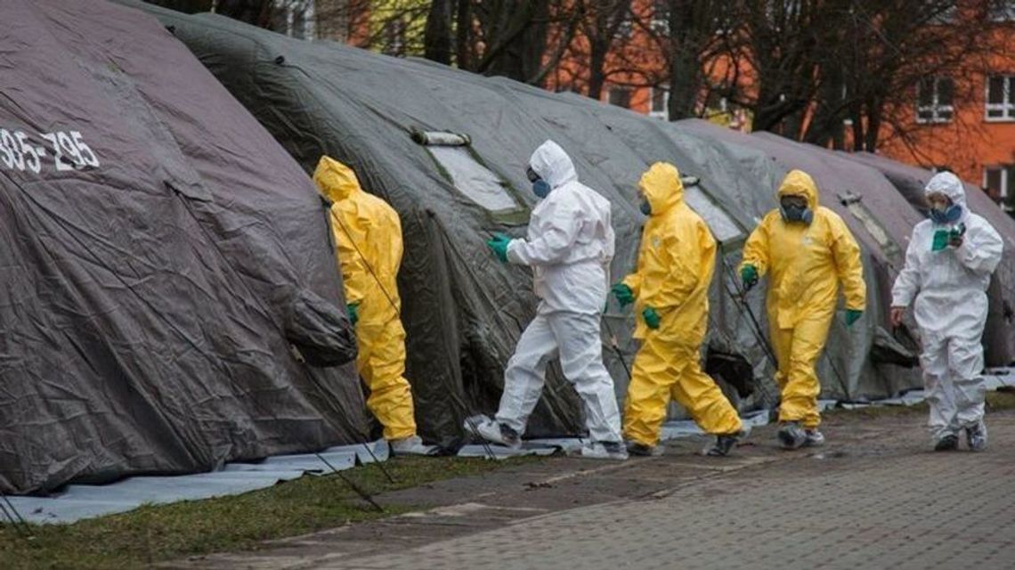 W czwartek w USA zmarło 246 osób zakażonych COVID-19 W czwartek w USA zmarło 246 osób zakażonych COVID-19