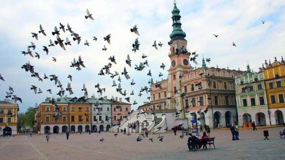 W jakim stanie jest miasto Zamość? Jest raport. Będzie dyskusja na sesji W jakim stanie jest miasto Zamość? Jest raport. Będzie dyskusja na sesji