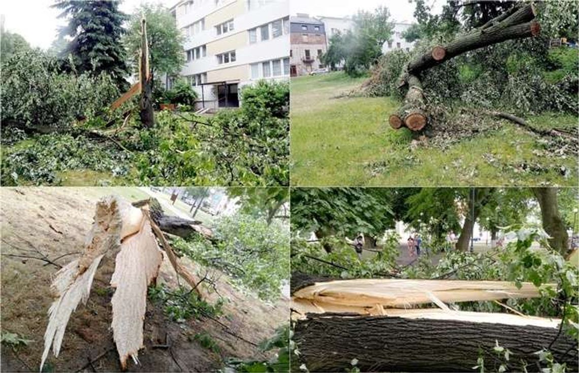 W jednej chwili Lublin stracił 200 drzew. Najgorszy kataklizm od kilkunastu lat