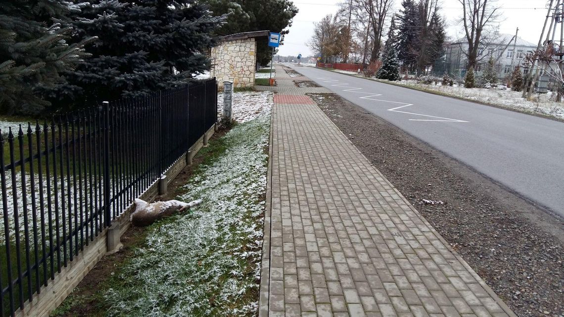 W końcu zabrali sarnę. Leżała koło płotu kilka dni W końcu zabrali sarnę. Leżała koło płotu kilka dni