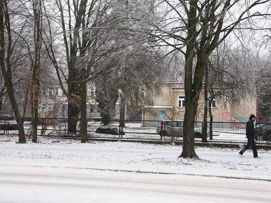 W Kraśniku będą badać produkty regionalne. Laboratoria za 31 mln zł