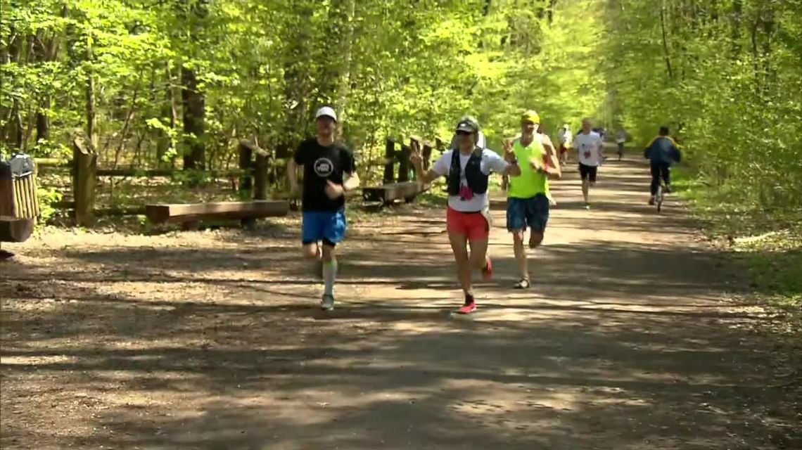 W lasach, na ulicach, w egzoszkielecie i z piłką przy nodze. Polscy biegacze w akcji Wings for Life 2021