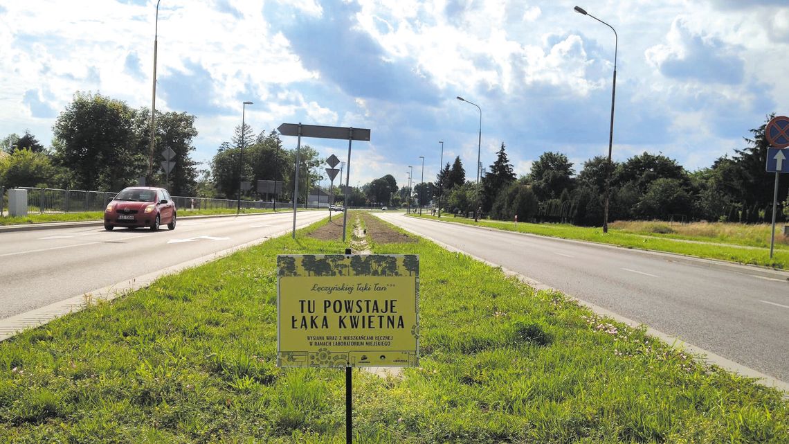 W Łęcznej też nie będą kosić niektórych trawników