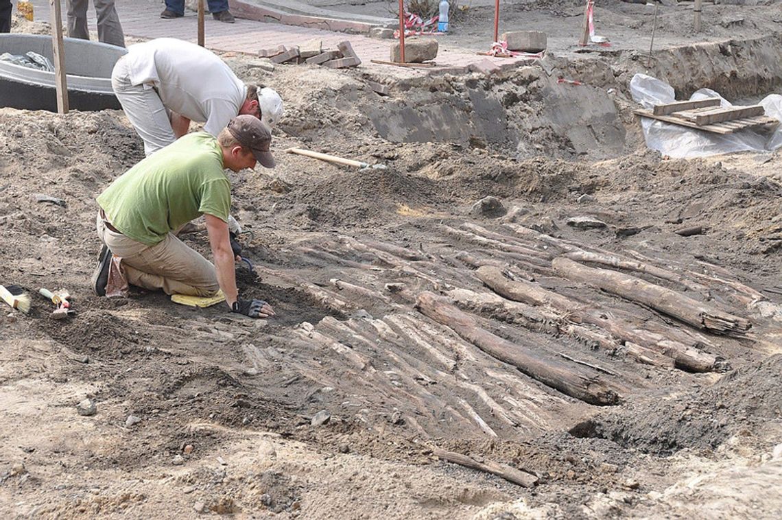 W Łęcznej znaleźli ślady drewnianego traktu