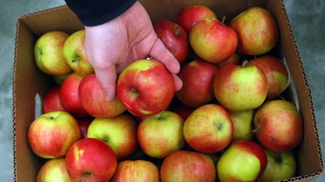 W Lublinie będą rozdawać jabłka. Z okazji 100-lecia odzyskania niepodległości