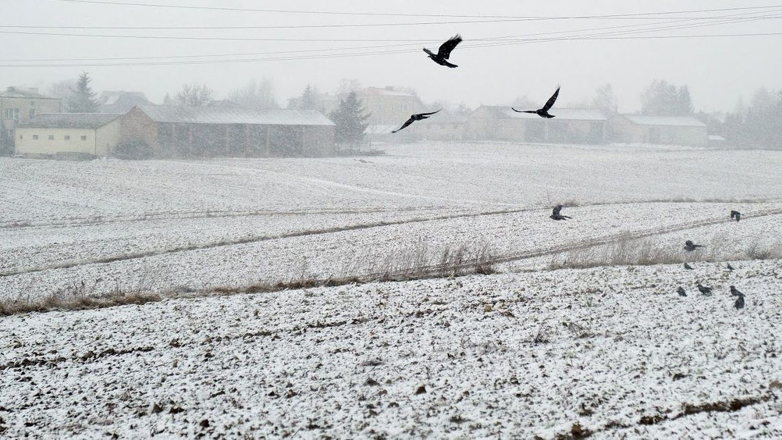 W Lublinie grzali przez 243 dni. To był najcieplejszy sezon w historii W Lublinie grzali przez 243 dni. To był najcieplejszy sezon w historii
