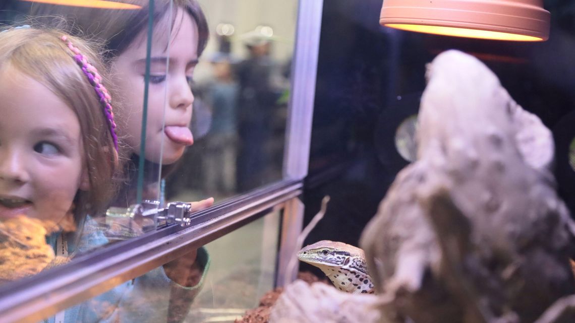 W Lublinie nie ma ZOO, ale jest wystawa Zoopark. Takie zwierzęta można zobaczyć w Targach Lublin