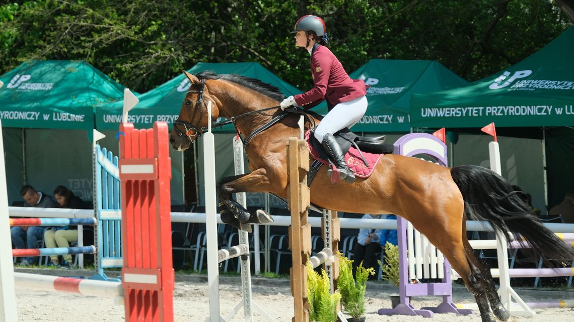 W Lublinie rozegrano XVII Akademickie Mistrzostwa Województwa Lubelskiego w skokach przez przeszkody