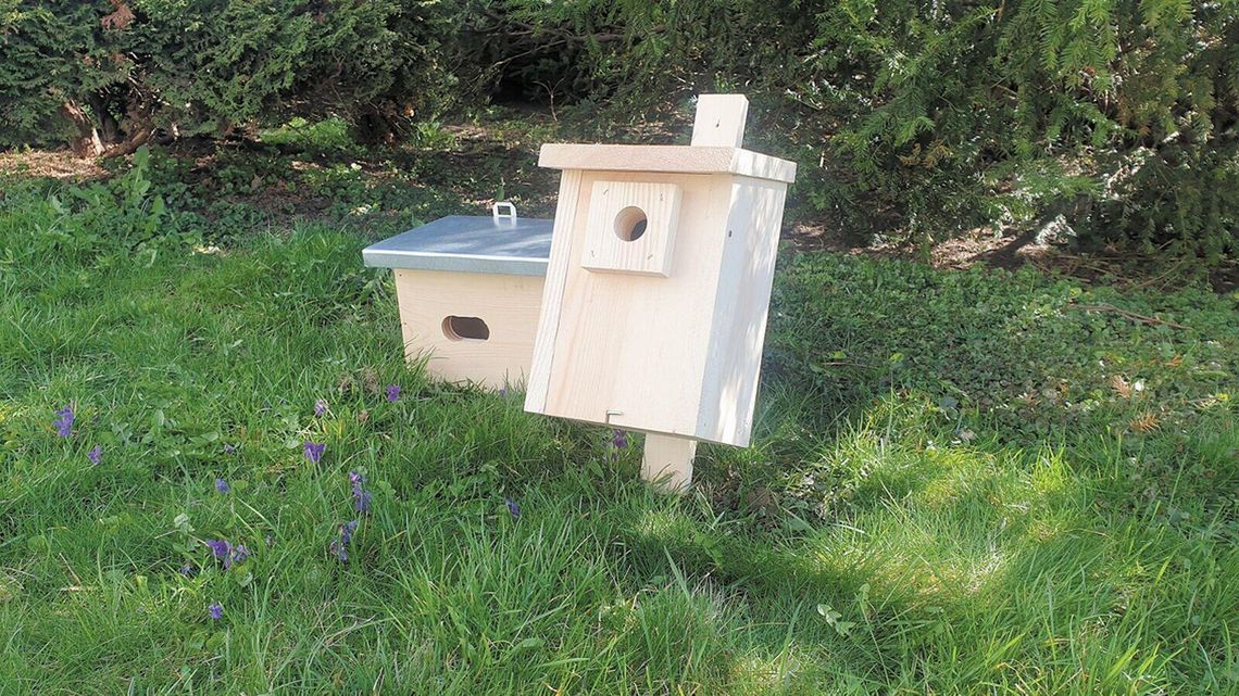 W Lublinie zamontują budki dla ptaków, żeby ludziom też było lżej