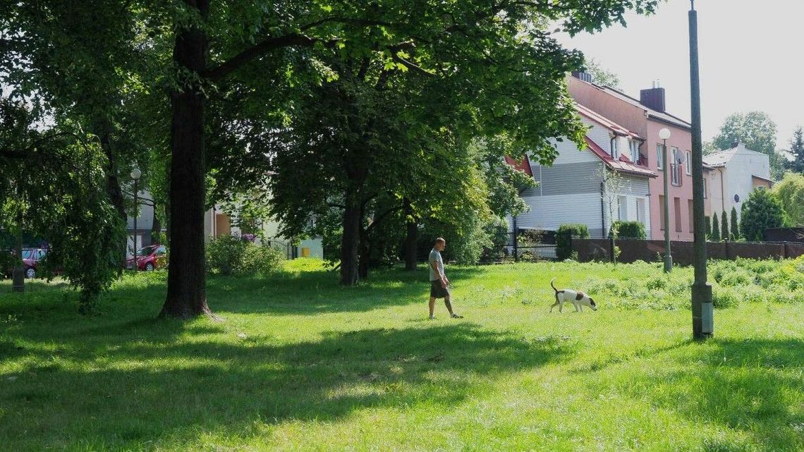 W Lublinie zaplanują nowe skwery. Gdzie powstaną?